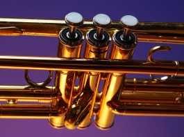 Trombitáló szomszéd Trombitáló szomszéd