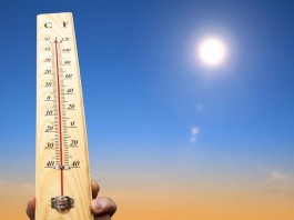 Nem eszek, nem alszok Nem eszek, nem alszok