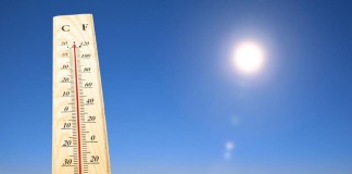 Nem eszek, nem alszok Nem eszek, nem alszok