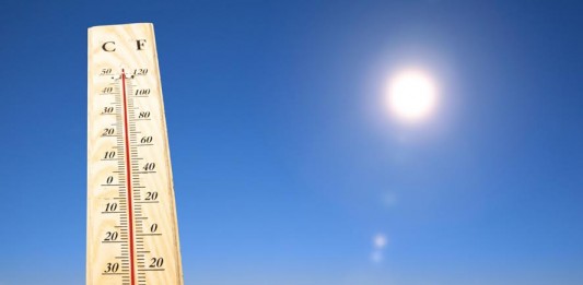 Nem eszek, nem alszok Nem eszek, nem alszok