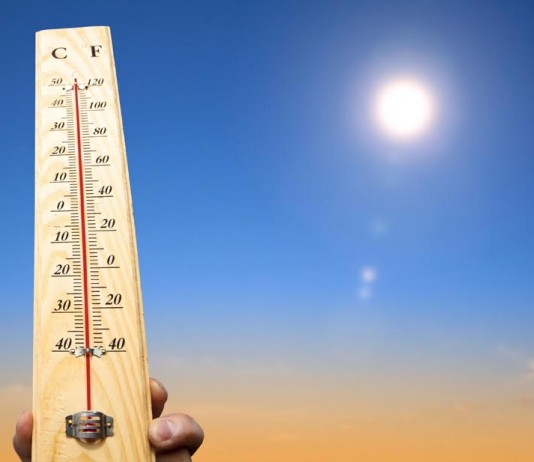 Nem eszek, nem alszok Nem eszek, nem alszok