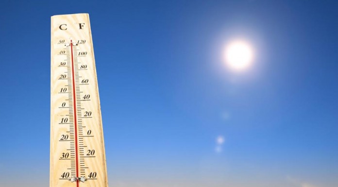 Nem eszek, nem alszok Nem eszek, nem alszok