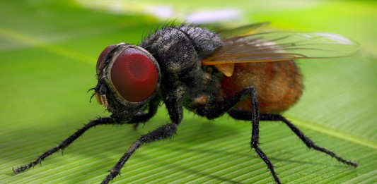 Peti új mondókája Peti új mondókája