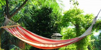 Hogy telt a hétvégéd? Hogy telt a hétvégéd?