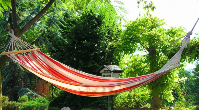 Hogy telt a hétvégéd? Hogy telt a hétvégéd?