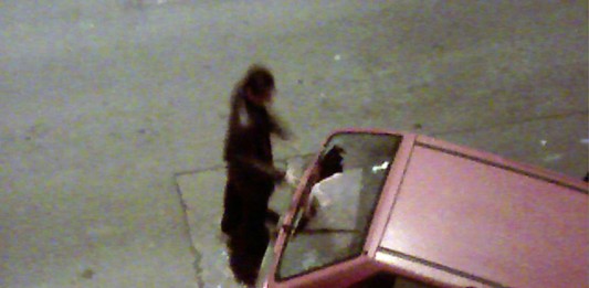 Idióta guberáló Idióta guberáló