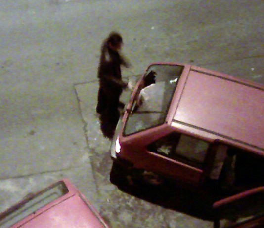 Idióta guberáló Idióta guberáló