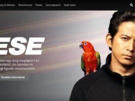 Netflix kódok netflix kódok magyarul