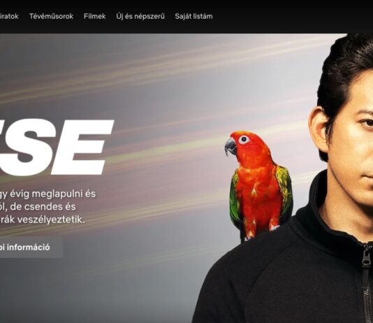 Netflix kódok netflix kódok magyarul