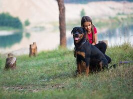 Kutya a családban: Milyen fajtát válasszunk?