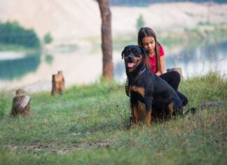 Kutya a családban: Milyen fajtát válasszunk?