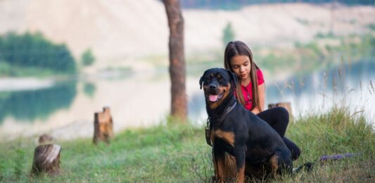 Kutya a családban: Milyen fajtát válasszunk?