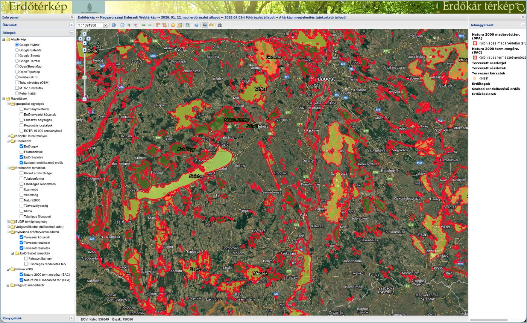 Erdőtérkép online
